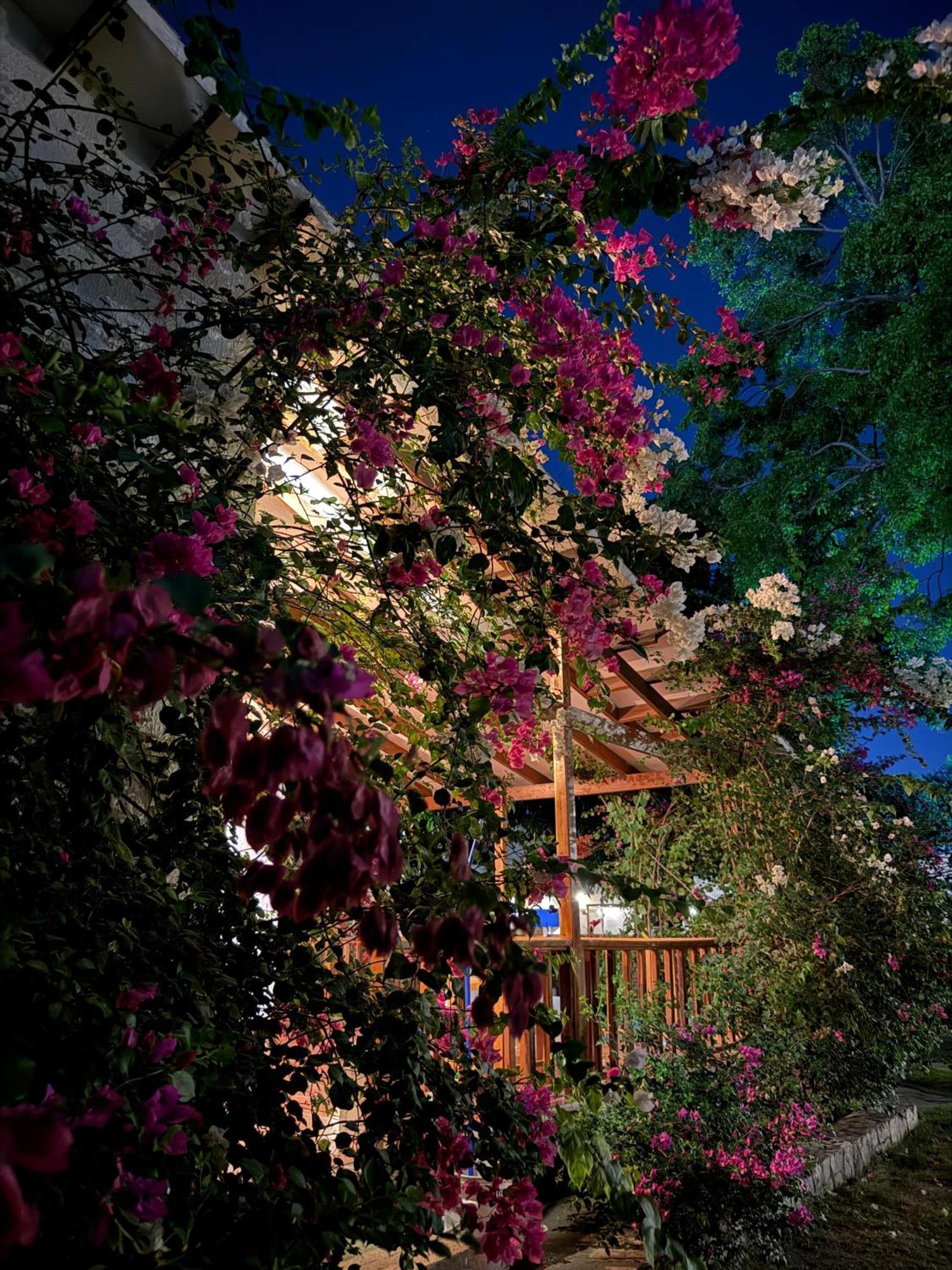 Hotel Jardin Boutique Rodadero Σάντα Μάρτα Εξωτερικό φωτογραφία