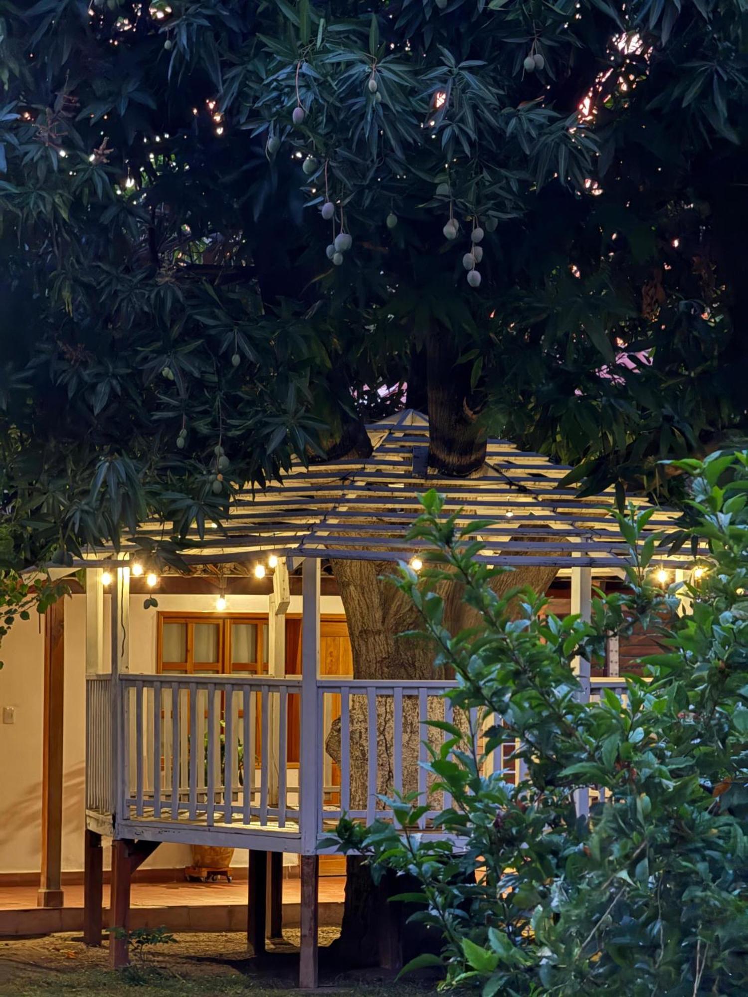 Hotel Jardin Boutique Rodadero Σάντα Μάρτα Εξωτερικό φωτογραφία